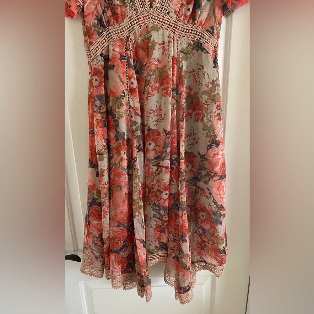 NWT -Anthropologie Ranna Gill Rose Bouquet Dress - size 2 - Picture 3 of 11